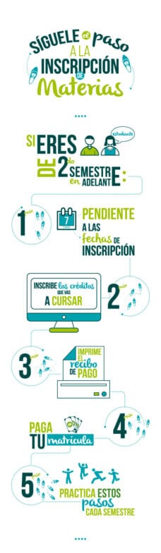 Infografías Instruccionales